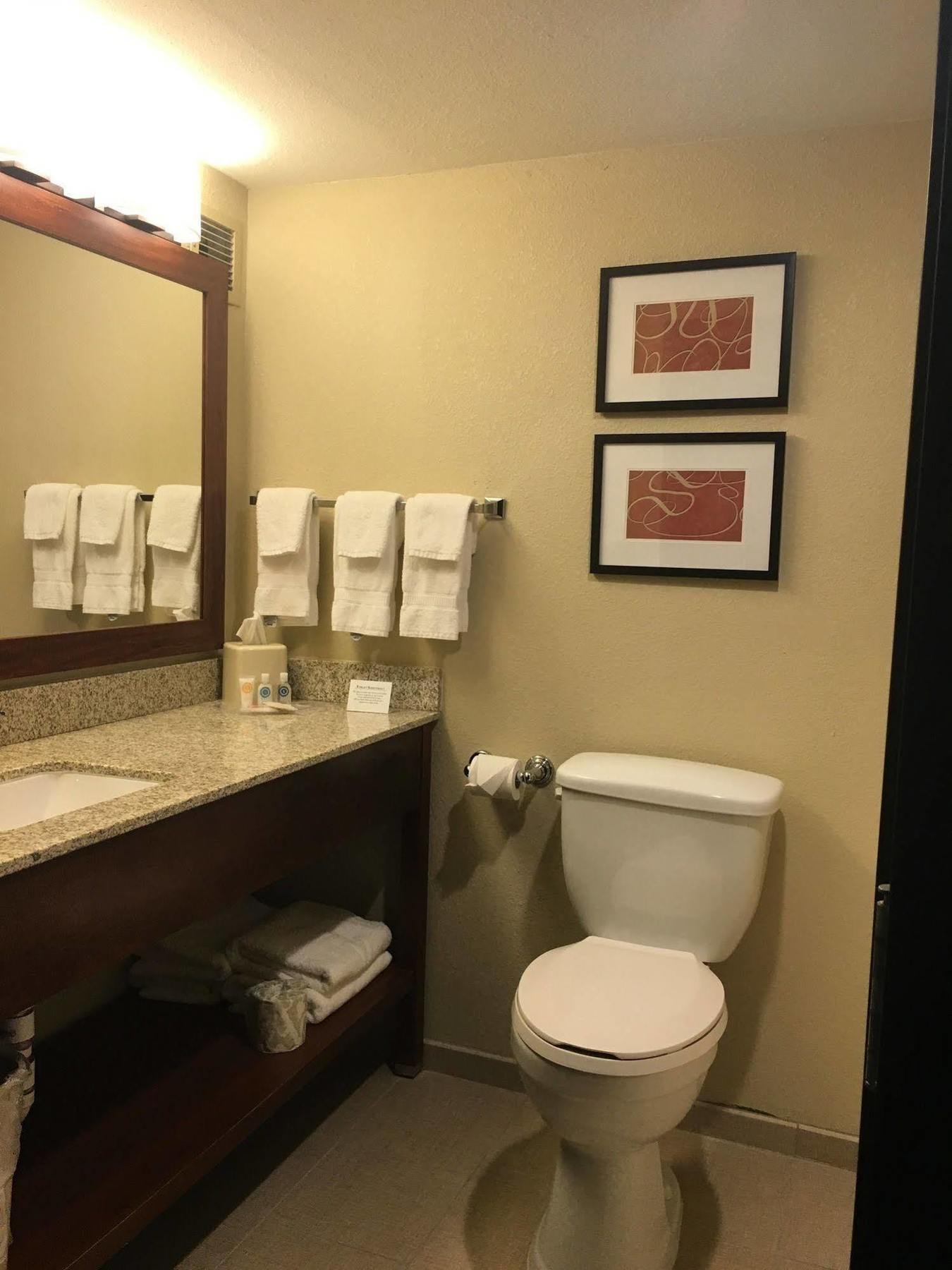 וודברידג' Comfort Suites Near Potomac Mills מראה חיצוני תמונה